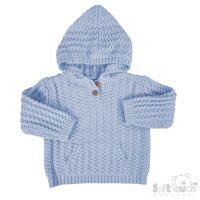 Hoodies (31)